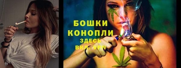 прущие грибы Переславль-Залесский