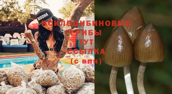 метамфетамин Пересвет