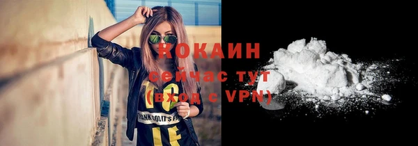 прущие грибы Переславль-Залесский