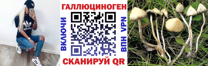 Псилоцибиновые грибы мухоморы Туран